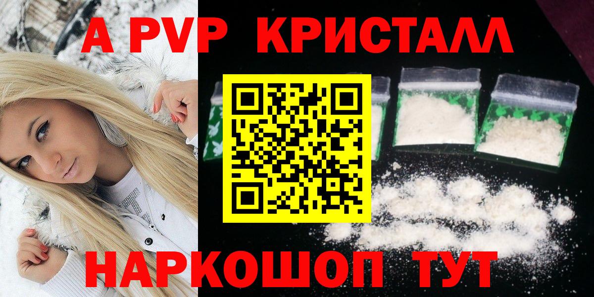 A-PVP СК КРИС Горно-Алтайск