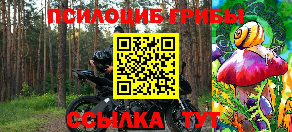 Горно-Алтайск  Галлюциногенные грибы ЛСД  Вход с VPN 