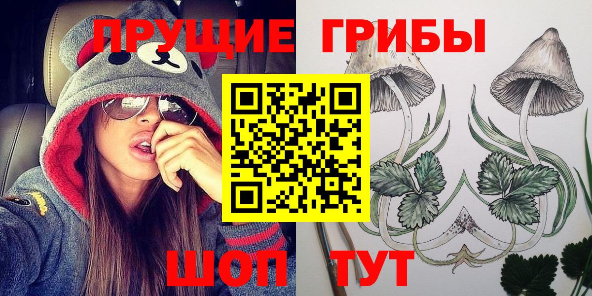 Галлюциногенные грибы MAGIC MUSHROOMS Горно-Алтайск